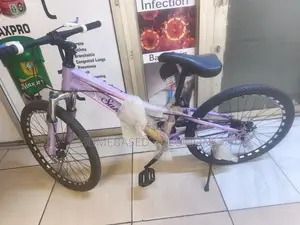 Sahemma Size 24 Bicycle