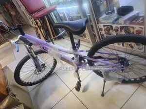 Sahemma Size 24 Bicycle