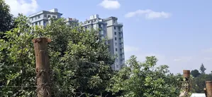🏢 Prime 1⁄2 Acre Apartment Development Land for Sale / Jv – Kabete