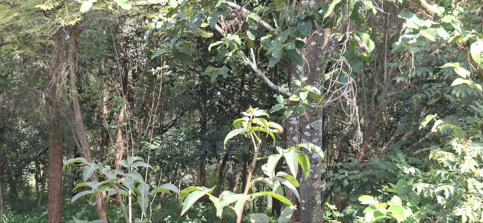 🏢 Prime 1⁄2 Acre Apartment Development Land for Sale / Jv – Kabete