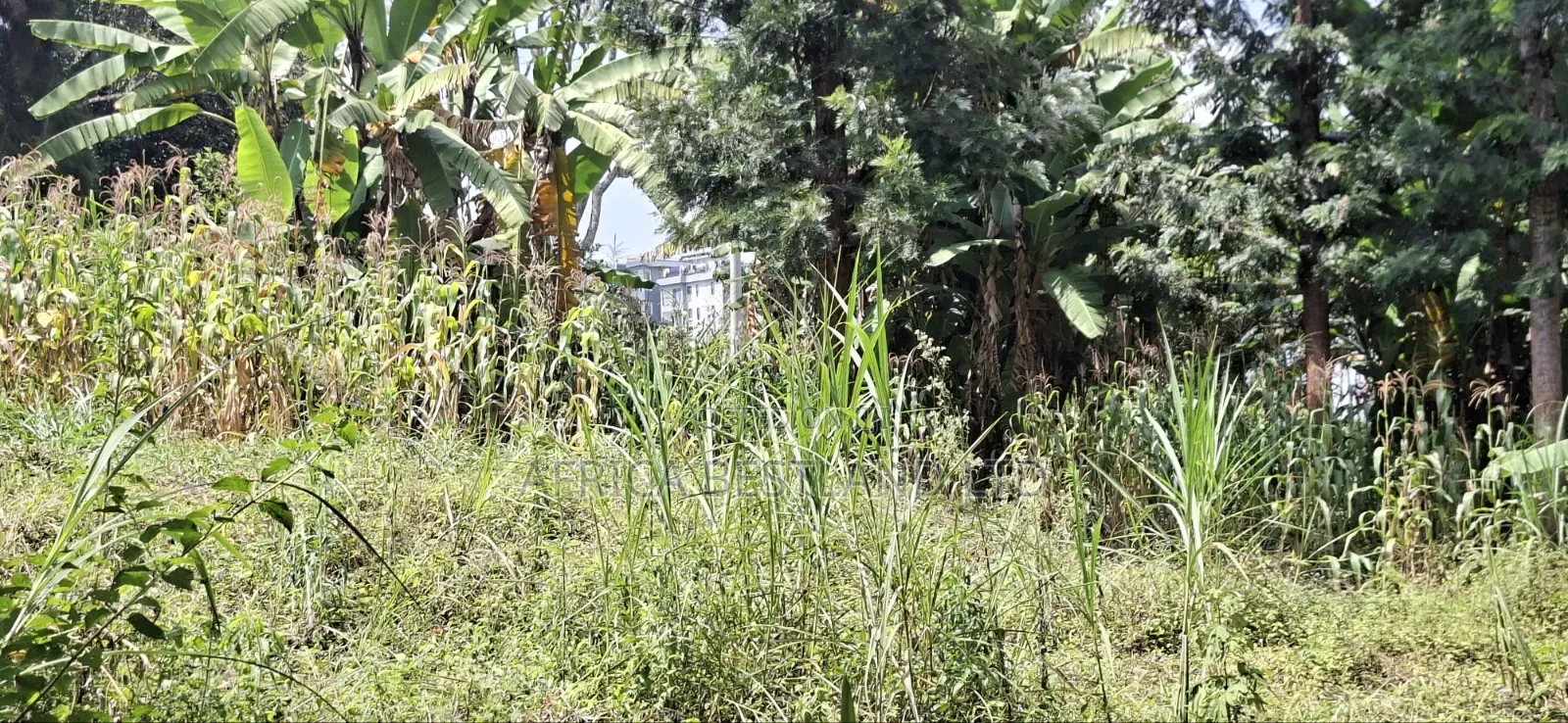 🏢 Prime 1⁄2 Acre Apartment Development Land for Sale / Jv – Kabete