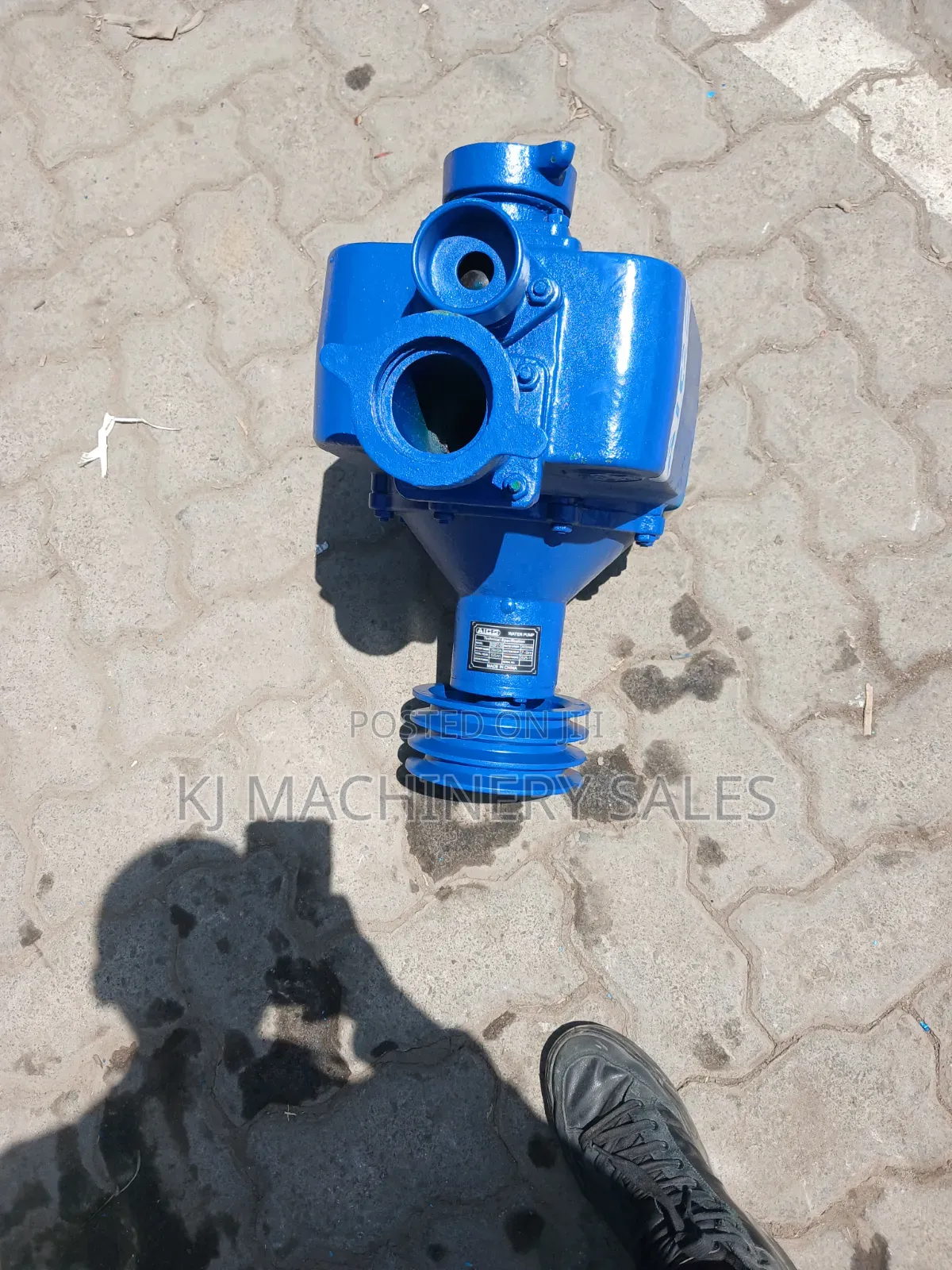 Aico Bare Pump 2inch