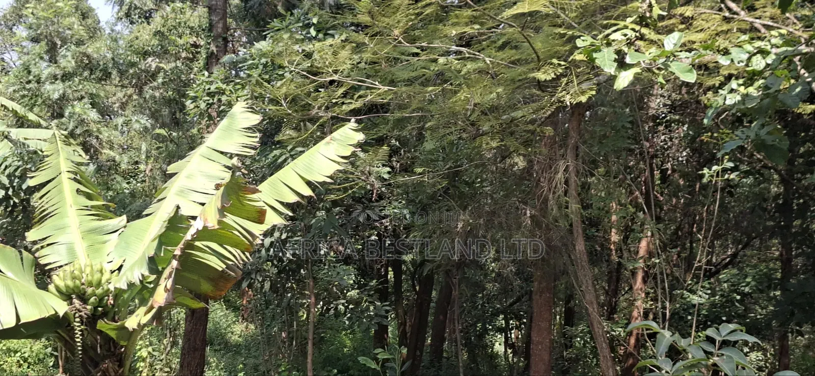 🏢 Prime 1⁄2 Acre Apartment Development Land for Sale / Jv – Kabete