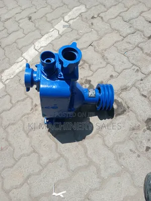 Aico Bare Pump 2inch