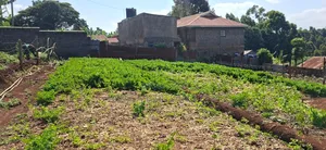 🏢 Prime 70×100 Plot for Sale – Kabete Mwimuto