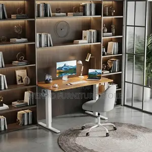 Ofice Desk; Aneecs 160CM Adjustable Office Electric Standing Desk