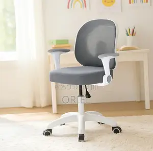 Office Chair : Adjustable Chair With Ergonomic Backrest