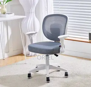 Office Chair : Adjustable Chair With Ergonomic Backrest