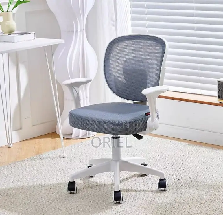 Office Chair : Adjustable Chair With Ergonomic Backrest