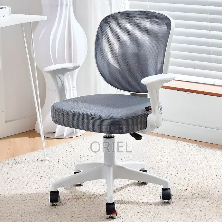 Office Chair : Adjustable Chair With Ergonomic Backrest
