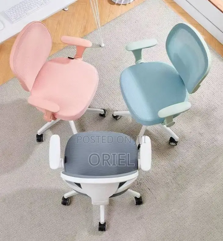Office Chair : Adjustable Chair With Ergonomic Backrest