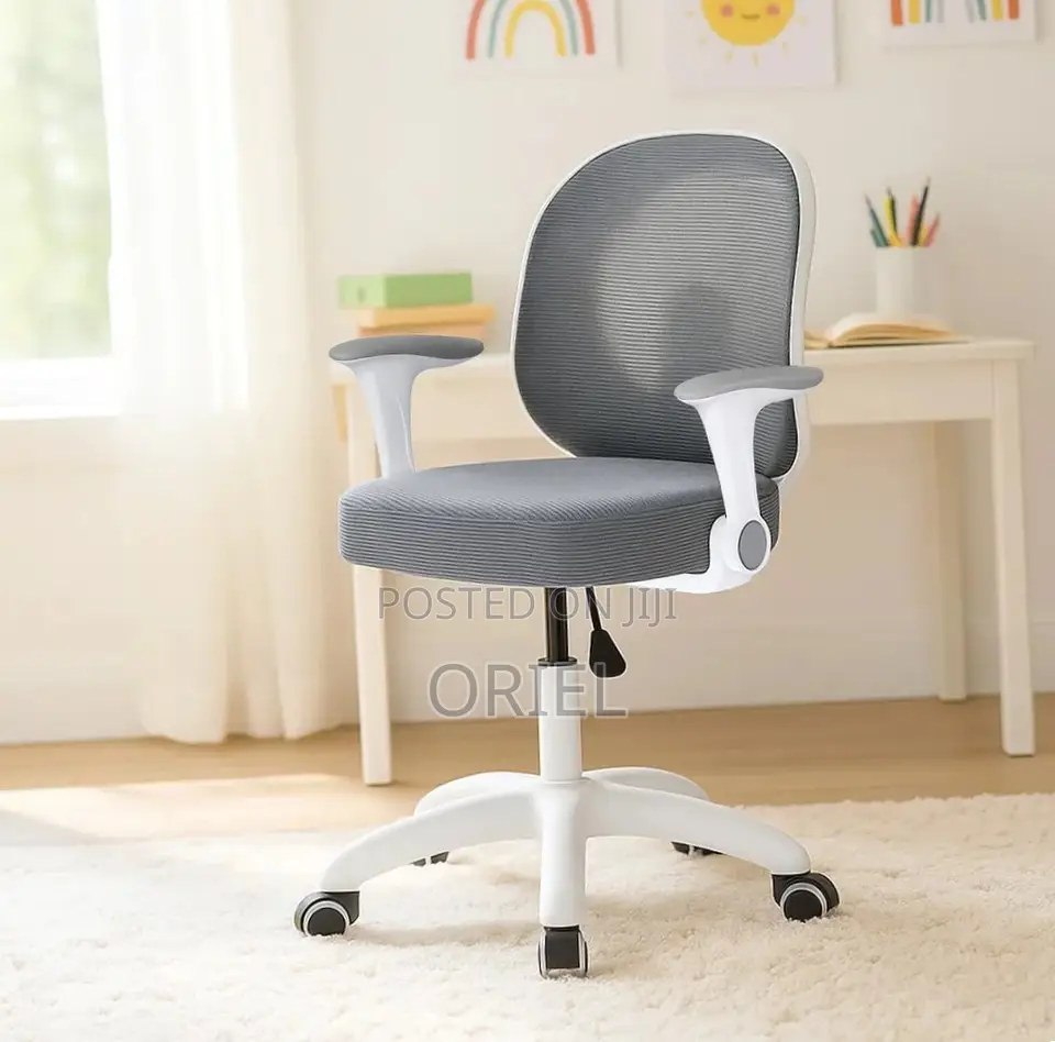 Office Chair : Adjustable Chair With Ergonomic Backrest