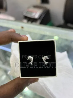 Silver Jewelleries, Necklace Chains and Earrings
