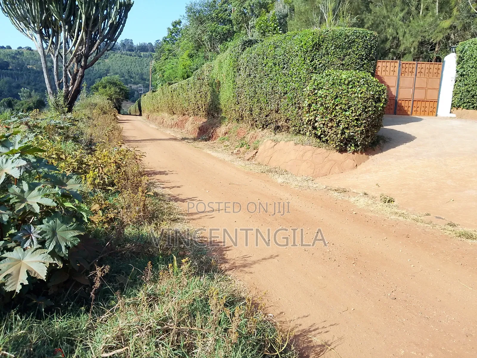 Mua Hills Land for Sale