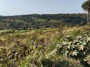 Mua Hills Land for Sale