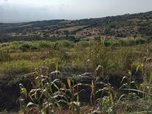 Mua Hills Land for Sale