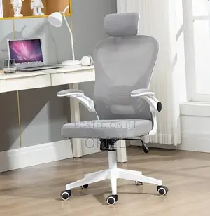Office Chair : Ergonomic Gray Chair