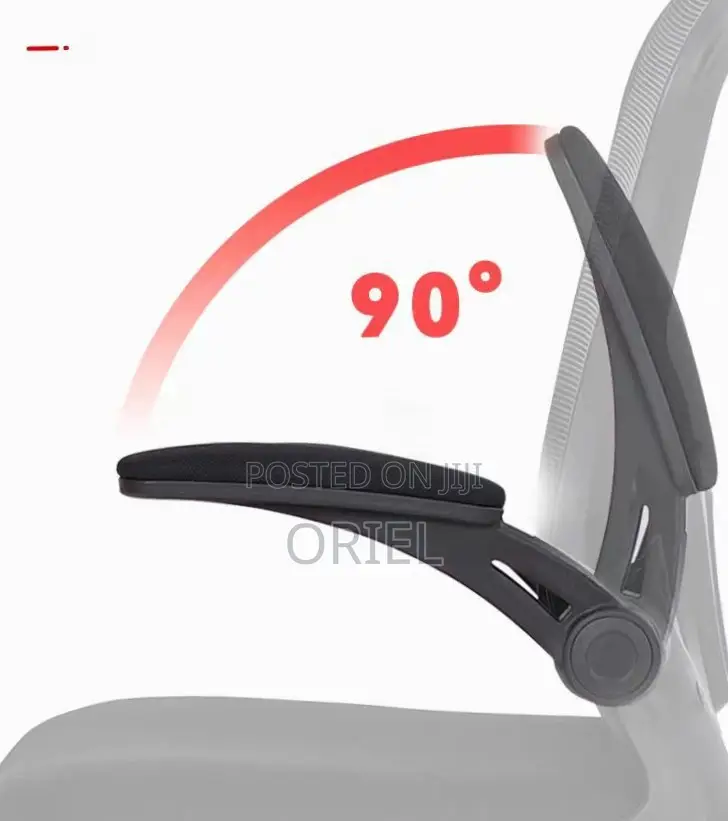 Office Chair : Ergonomic Gray Chair
