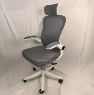 Office Chair : Ergonomic Gray Chair