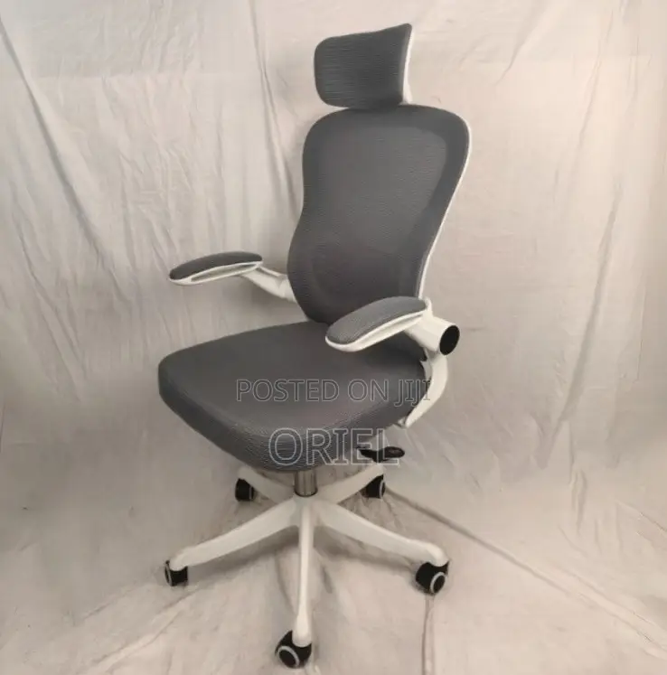 Office Chair : Ergonomic Gray Chair
