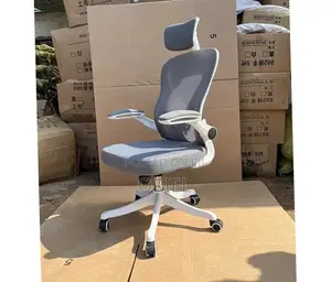 Office Chair : Ergonomic Gray Chair