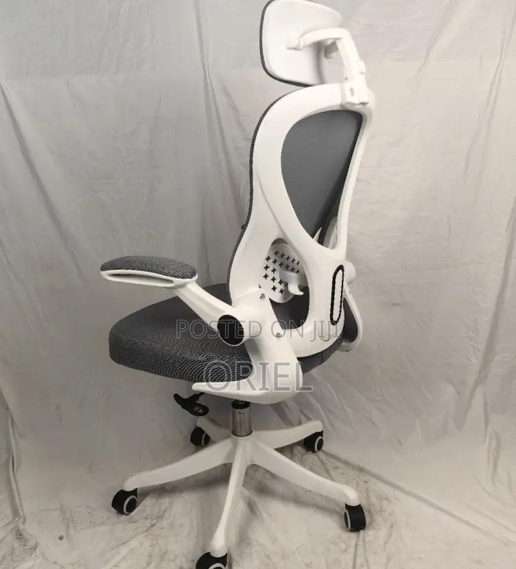 Office Chair : Ergonomic Gray Chair
