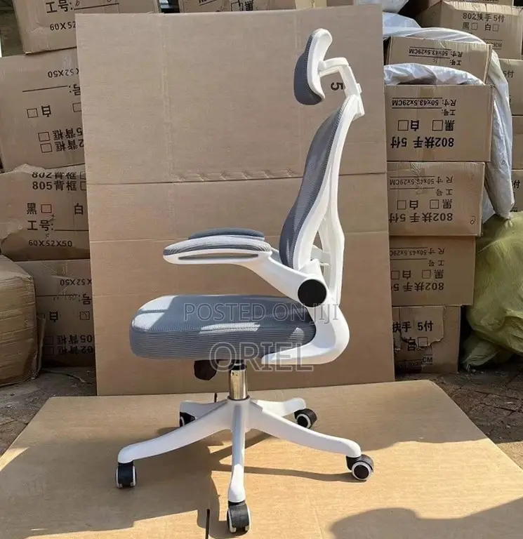 Office Chair : Ergonomic Gray Chair