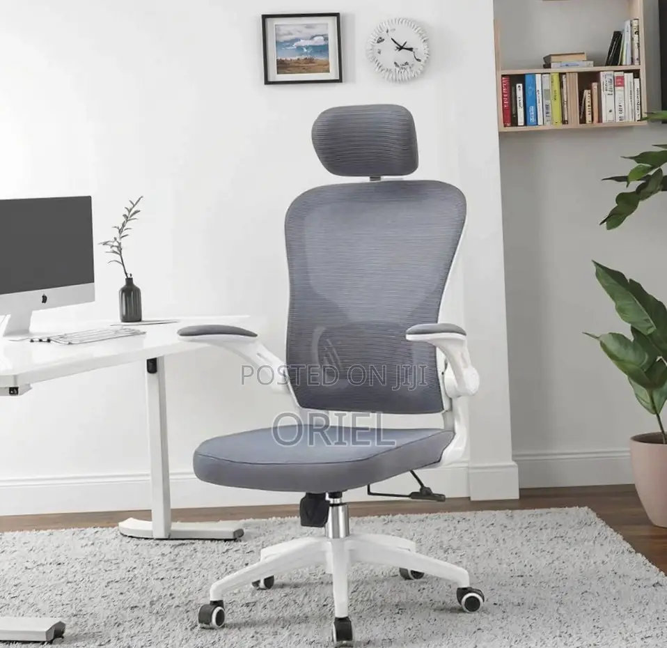 Office Chair : Ergonomic Gray Chair