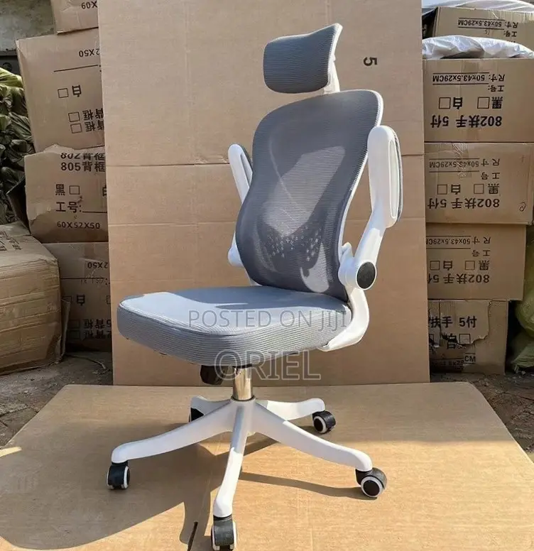 Office Chair : Ergonomic Gray Chair