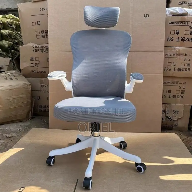 Office Chair : Ergonomic Gray Chair