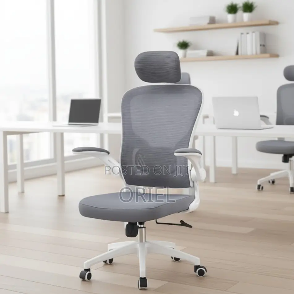 Office Chair : Ergonomic Gray Chair