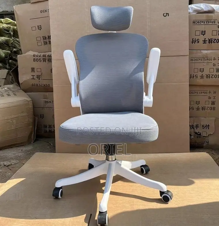 Office Chair : Ergonomic Gray Chair