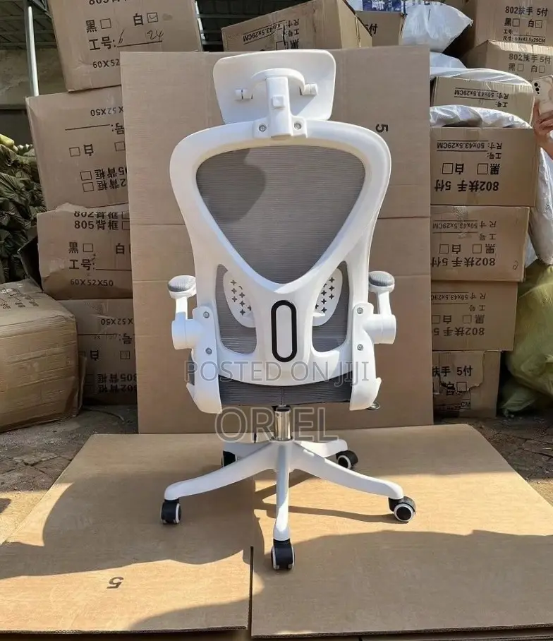 Office Chair : Ergonomic Gray Chair