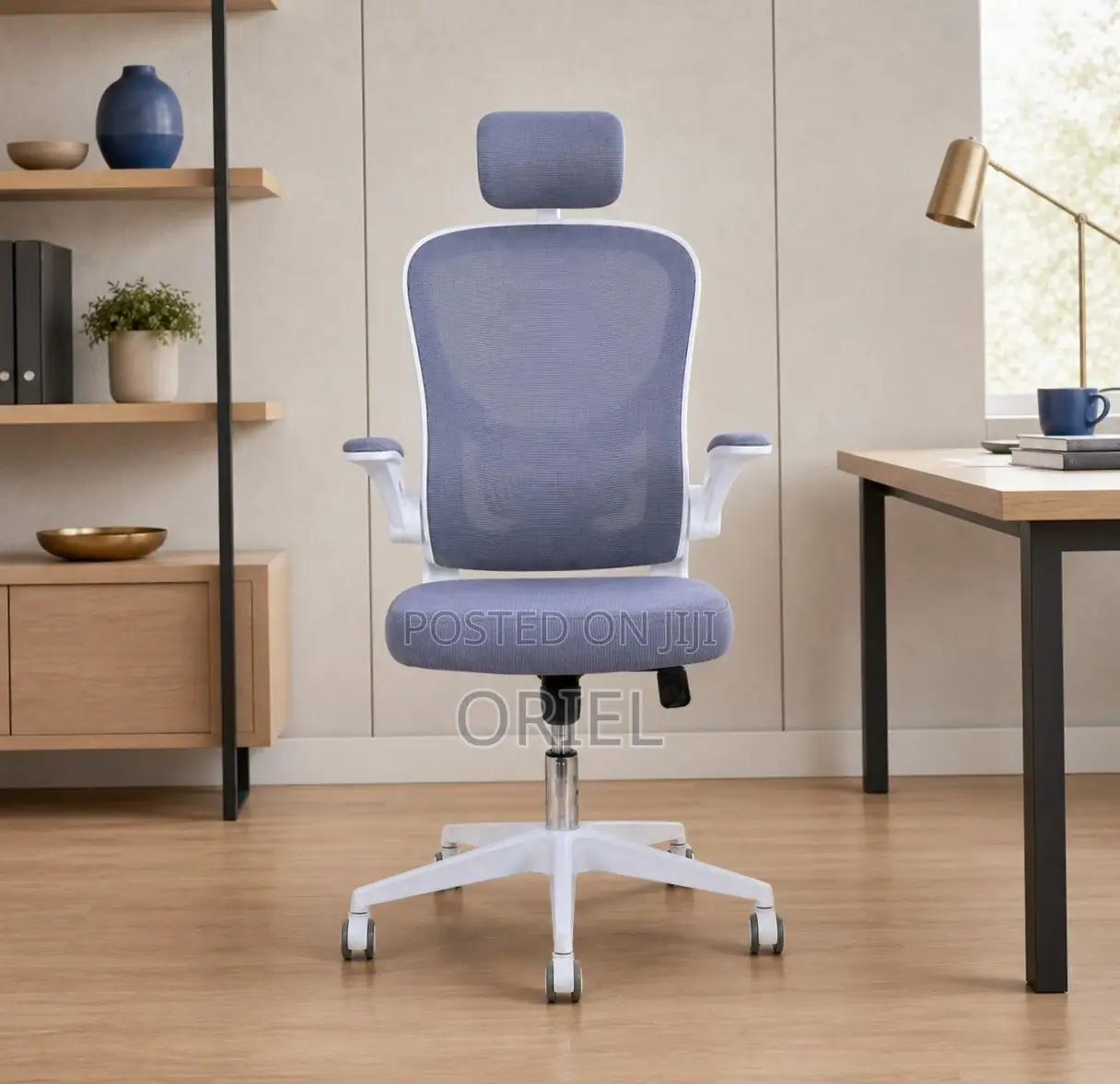 Office Chair : Ergonomic Gray Chair