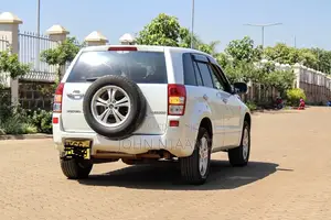 Suzuki Escudo 2008 Pearl
