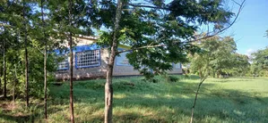 An Institute of Technology on Sale in Mwea Town