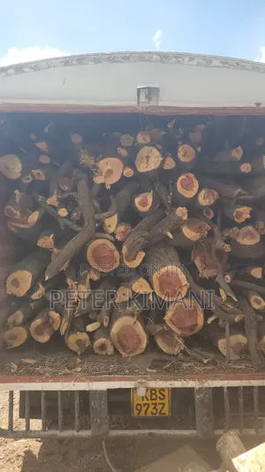 Acacia Firewood for Sale