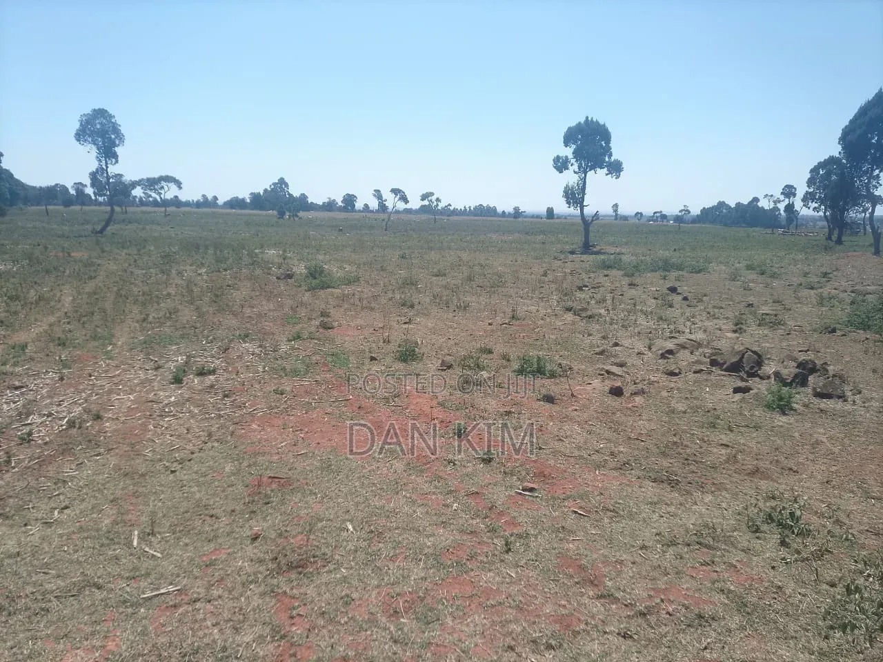 80 Acres in Rumuruti