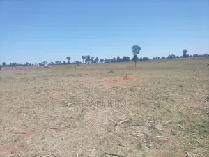 80 Acres in Rumuruti