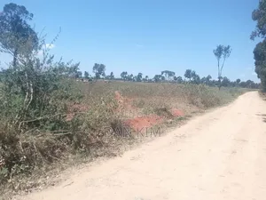 80 Acres in Rumuruti
