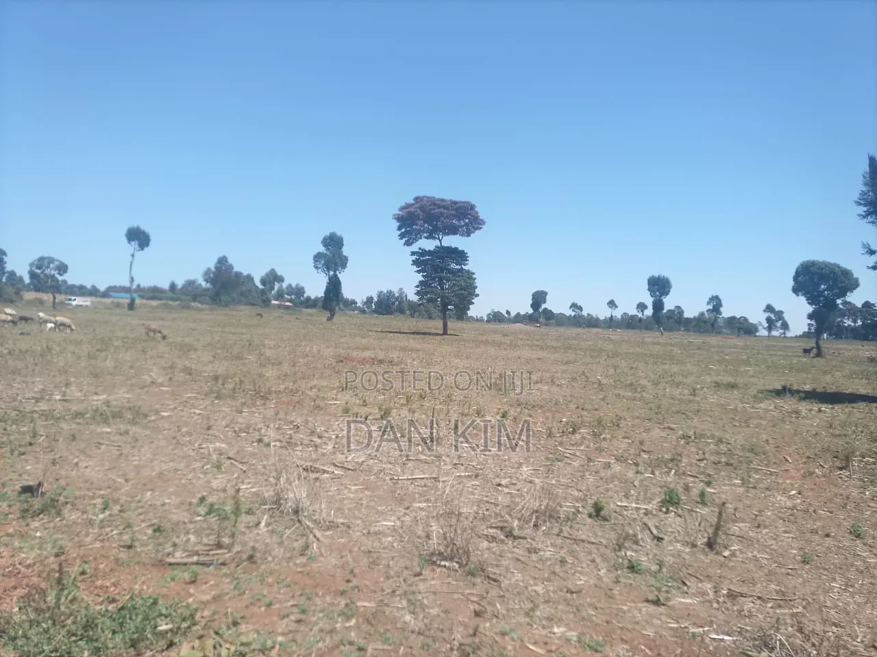 80 Acres in Rumuruti
