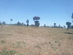 80 Acres in Rumuruti
