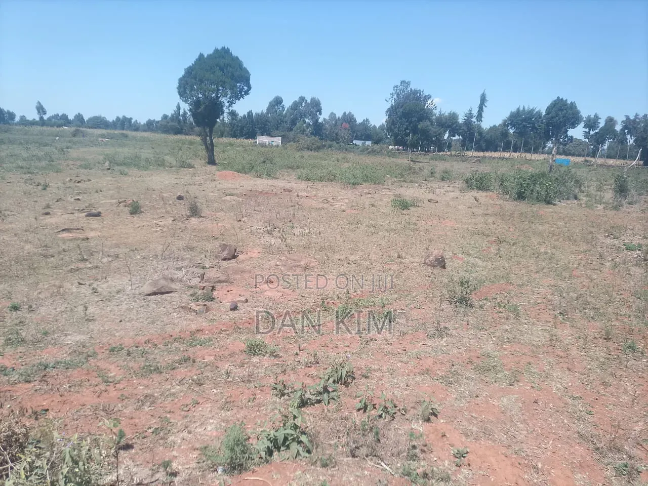 80 Acres in Rumuruti