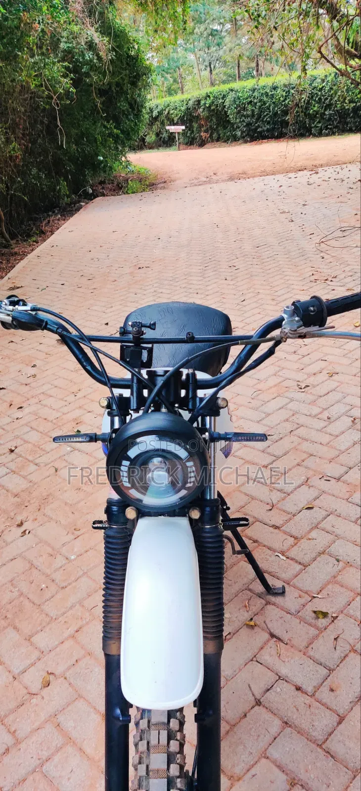Suzuki 2010 White