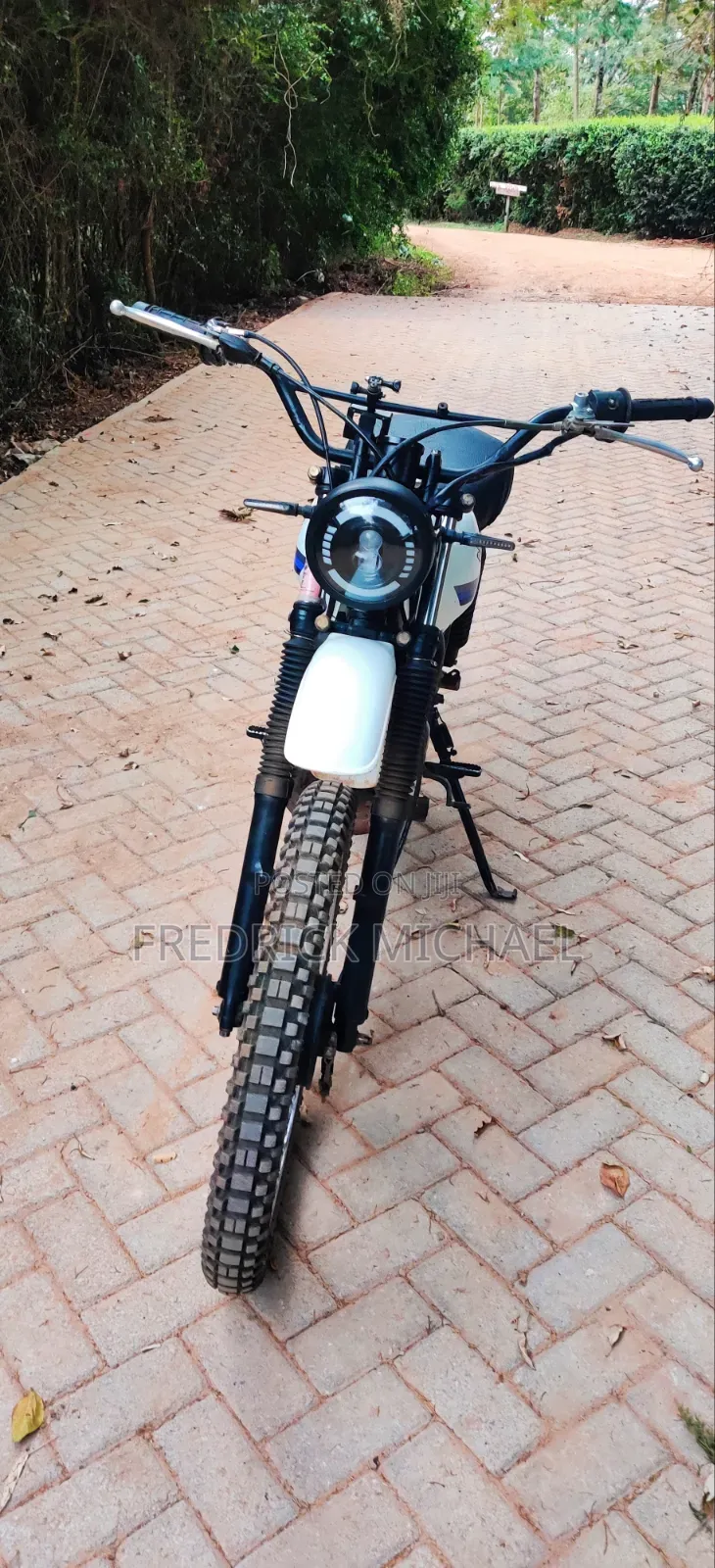 Suzuki 2010 White