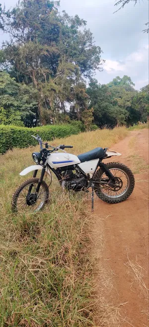 Suzuki 2010 White
