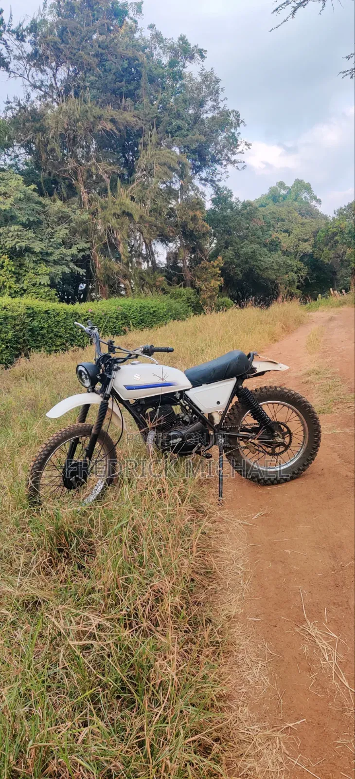 Suzuki 2010 White