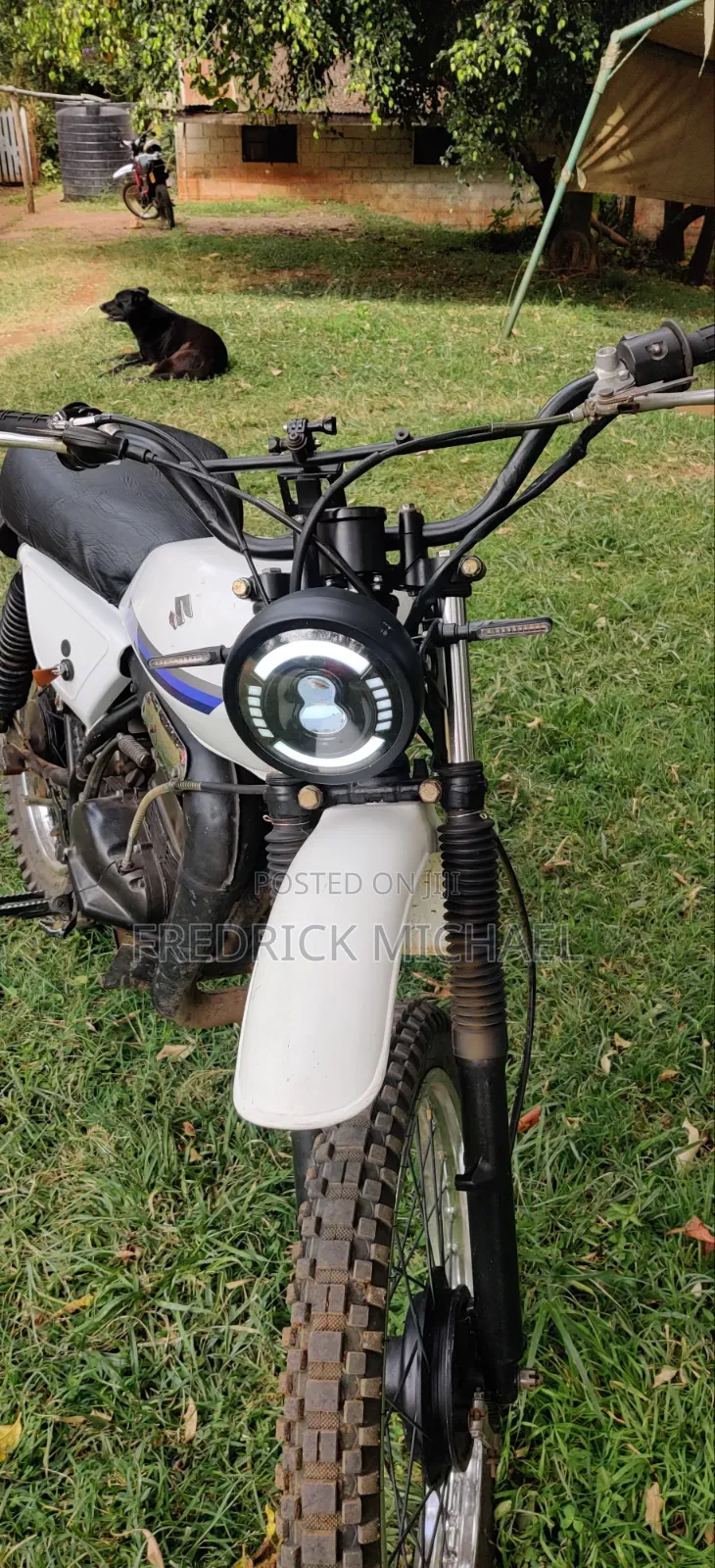 Suzuki 2010 White