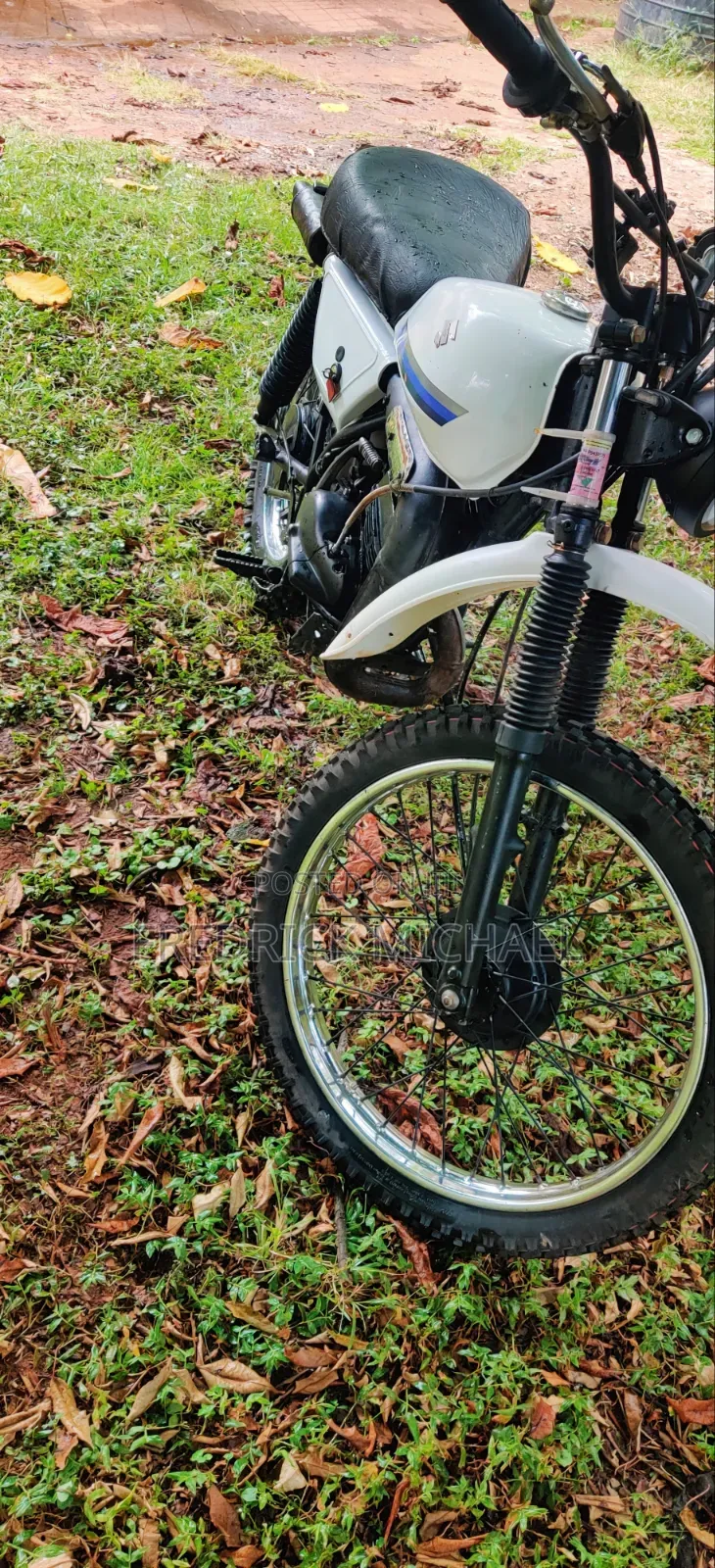 Suzuki 2010 White