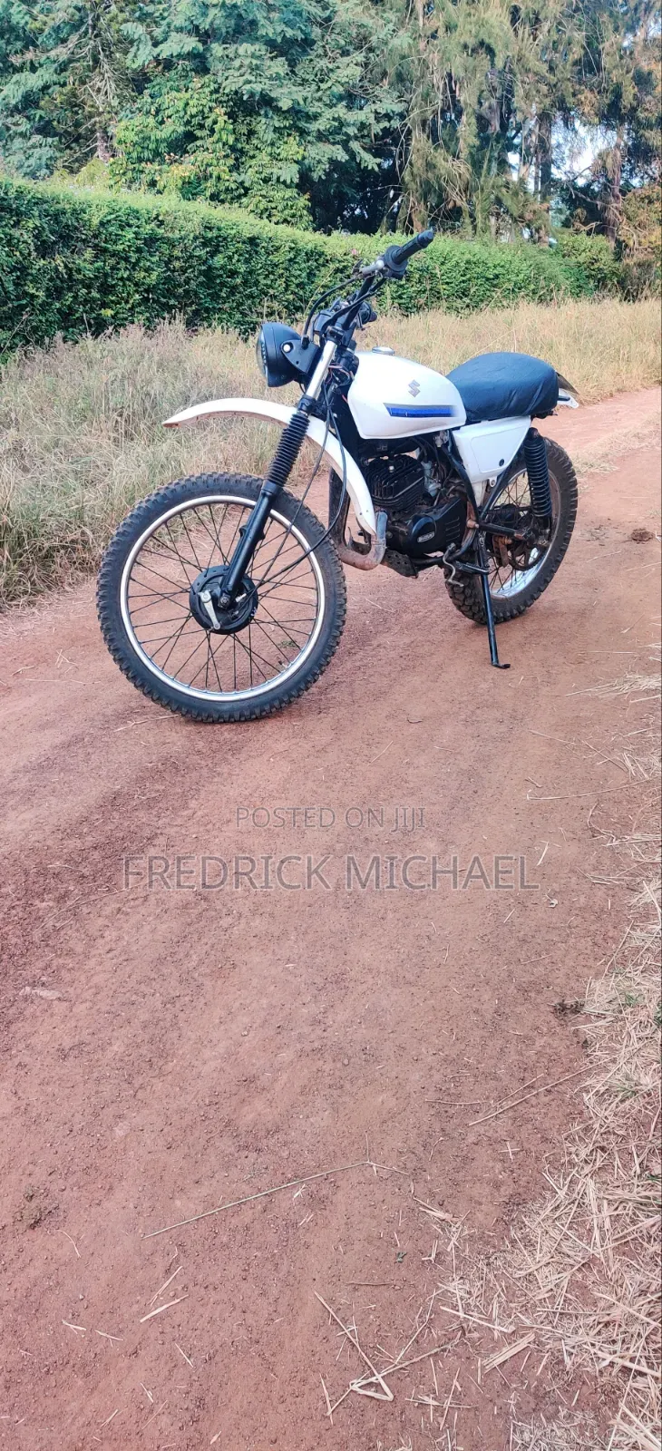 Suzuki 2010 White